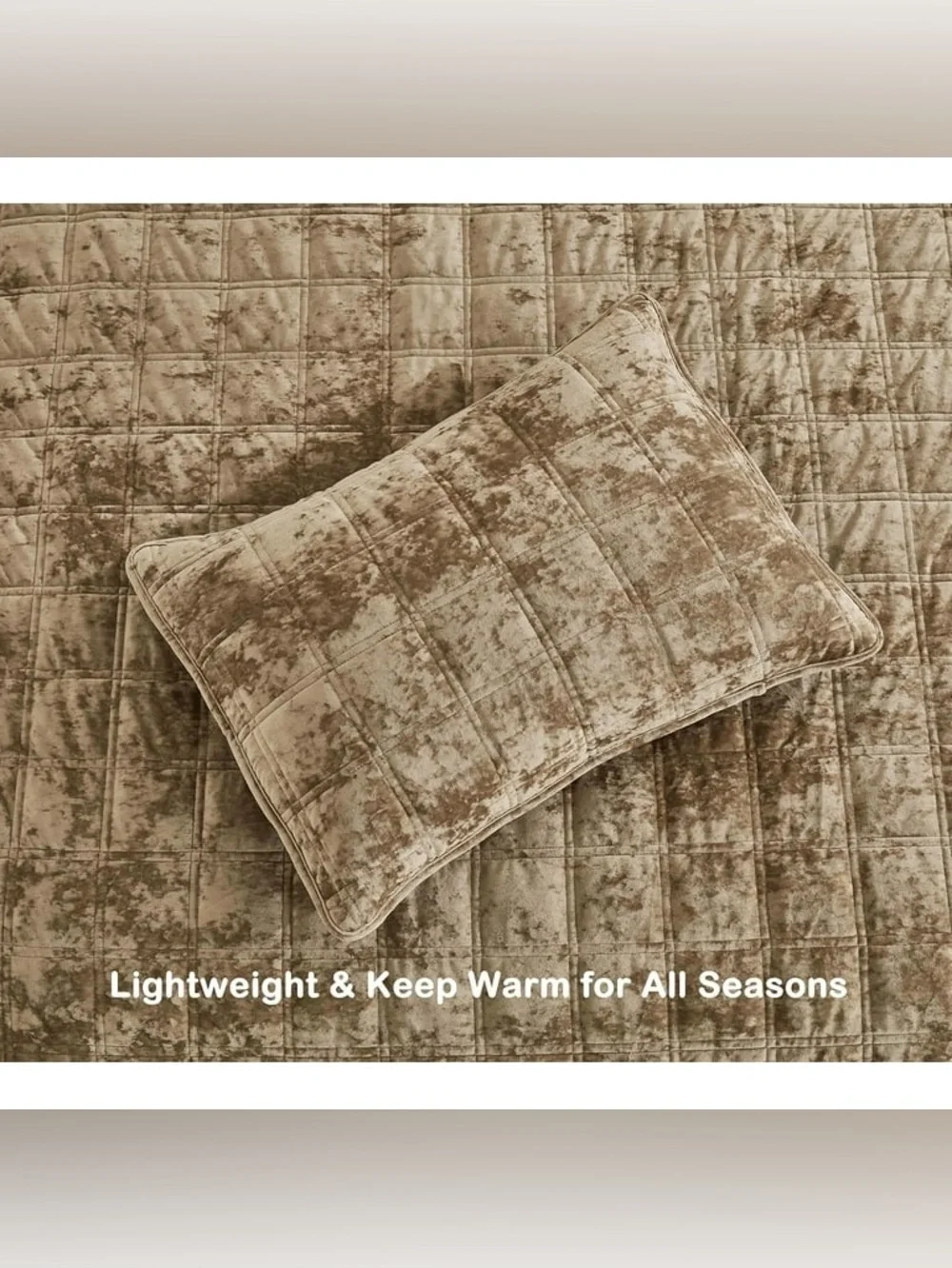 Luxury Velvet cal king 3 piece Quilted Comforter Set in Taupe